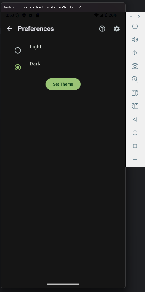 Dark Theme Settings Screen.